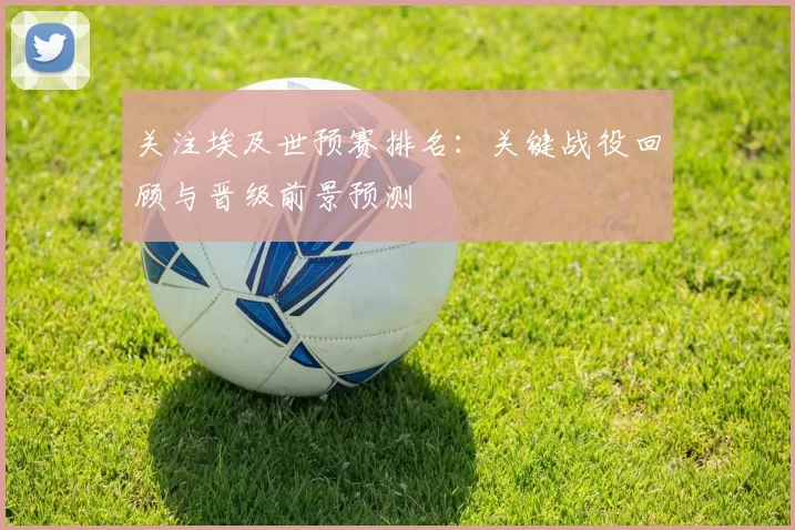 关注埃及世预赛排名：关键战役回顾与晋级前景预测