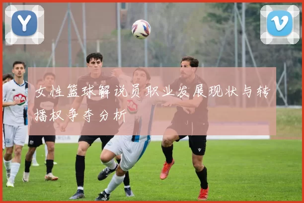 女性篮球解说员职业发展现状与转播权争夺分析