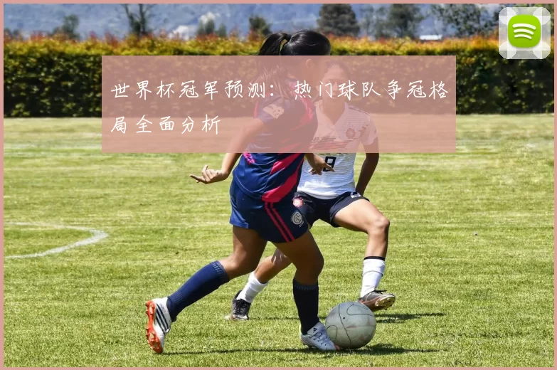 世界杯冠军预测：热门球队争冠格局全面分析