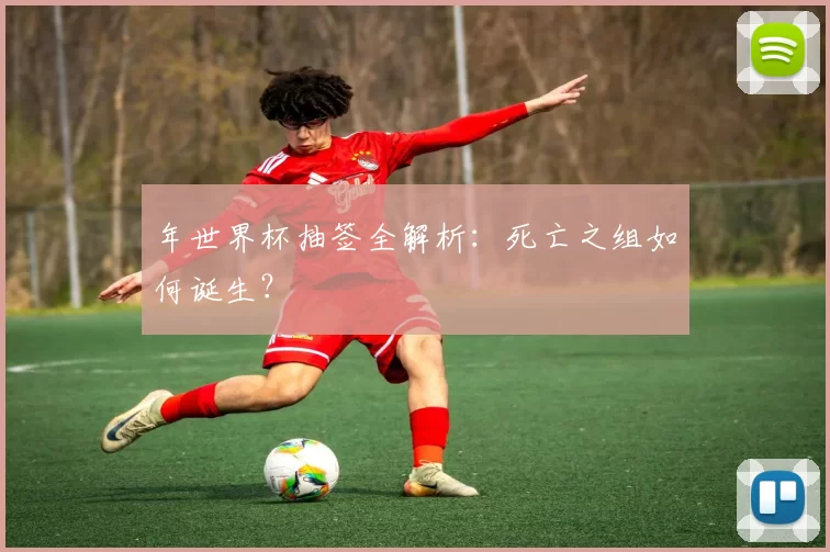 年世界杯抽签全解析:死亡之组如何诞生?