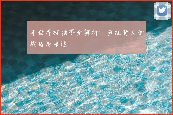 年世界杯抽签全解析：分组背后的战略与命运