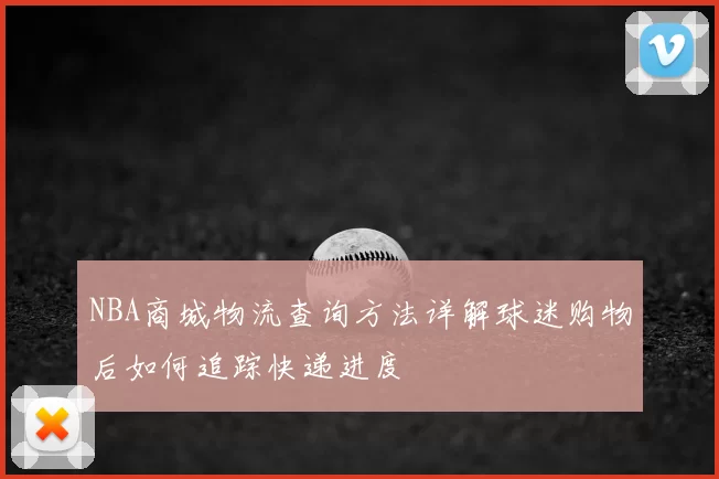 NBA商城物流查询方法详解球迷购物后如何追踪快递进度