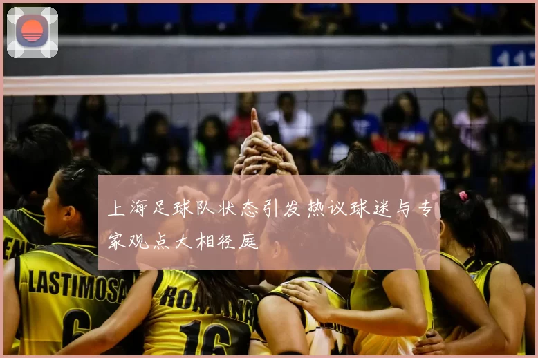 上海足球队状态引发热议球迷与专家观点大相径庭