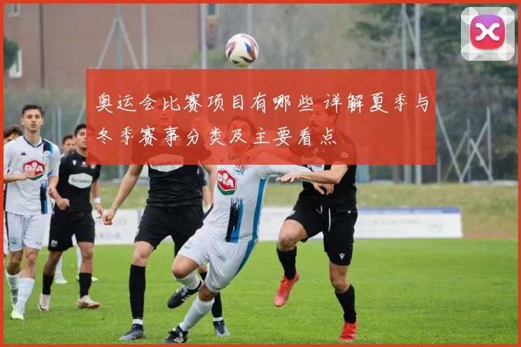 奥运会比赛项目有哪些 详解夏季与冬季赛事分类及主要看点