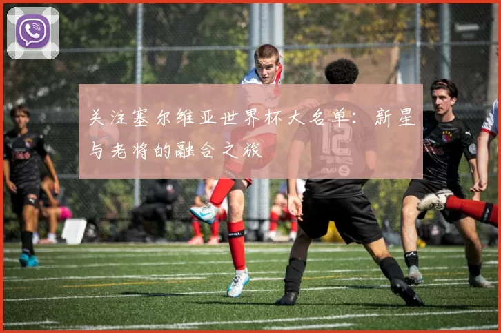 关注塞尔维亚世界杯大名单：新星与老将的融合之旅