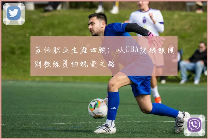 苏伟职业生涯回顾：从CBA防线铁闸到教练员的蜕变之路